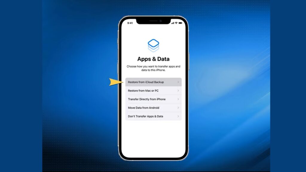 Backup Restoration Recovery