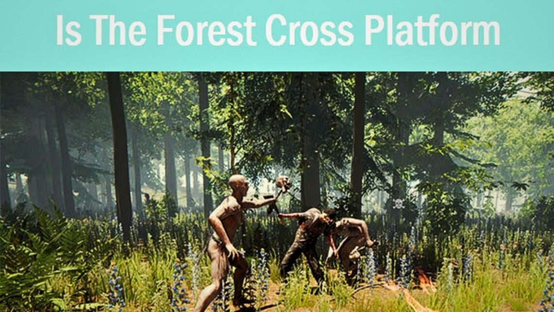 Is The Forest Cross Platform